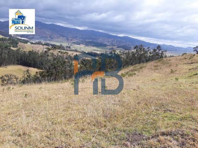 Terreno para Venta en Cuenca - 3