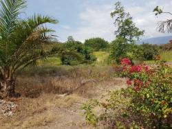 Terreno para Venta en Santa Isabel - 2