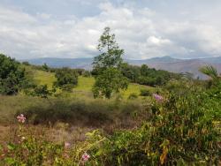 Terreno para Venta en Santa Isabel - 1