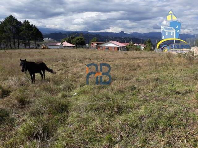 #MJ1564 - Terreno para Venta en Cuenca - A - 2