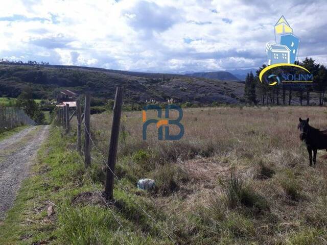 Terreno para Venta en Cuenca - 4