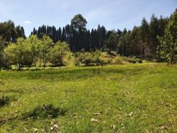 Terreno para Venta en Cuenca - 4