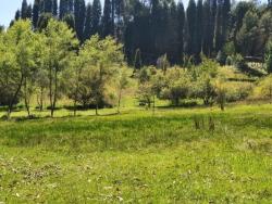 Terreno para Venta en Cuenca - 3
