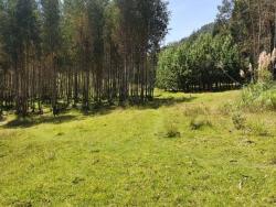 Terreno para Venta en Cuenca - 1
