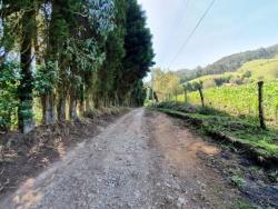 Terreno para Venta en Cuenca - 2