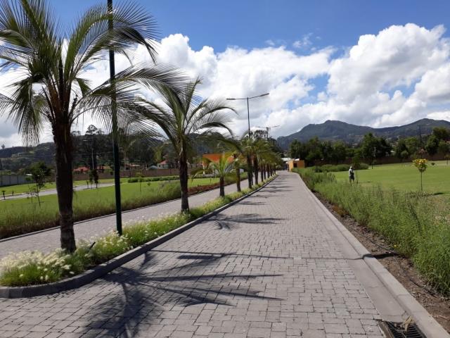 Terreno para Venta en Cuenca - 4