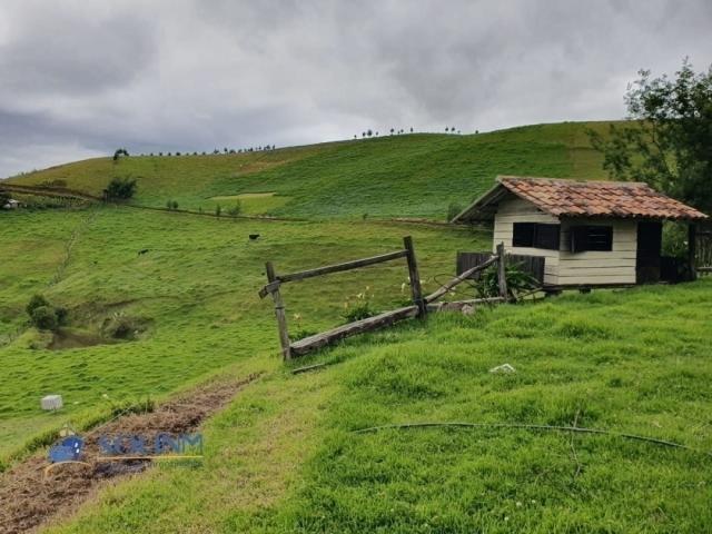 Hacienda - Quinta para Venta en Cuenca - 3