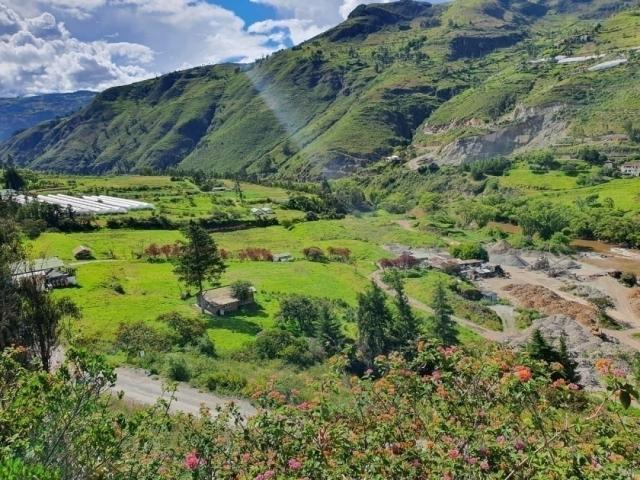 Terreno para Venta en Guachapala - 4