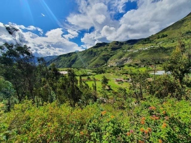 Terreno para Venta en Guachapala - 2