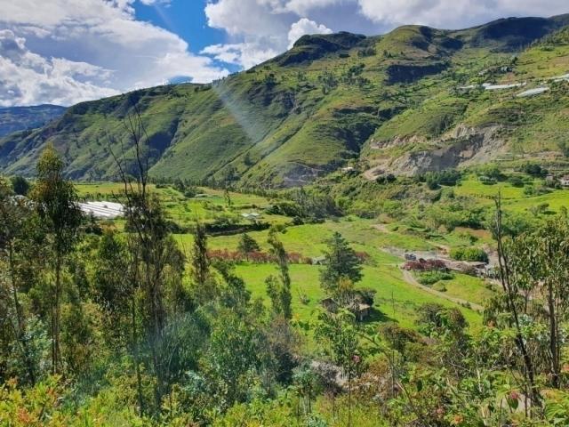 Terreno para Venta en Guachapala - 3