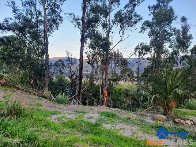 Terreno para Venta en Cuenca - 2