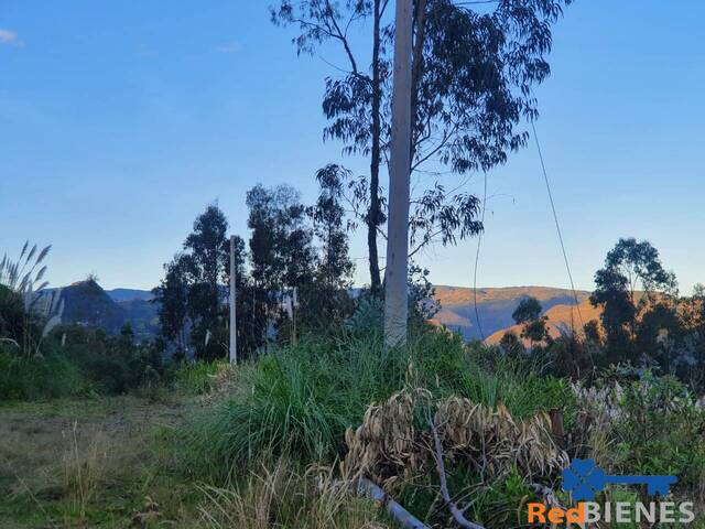 Terreno para Venta en Cuenca - 4