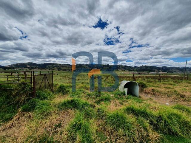 Terreno para Venta en Cuenca - 3