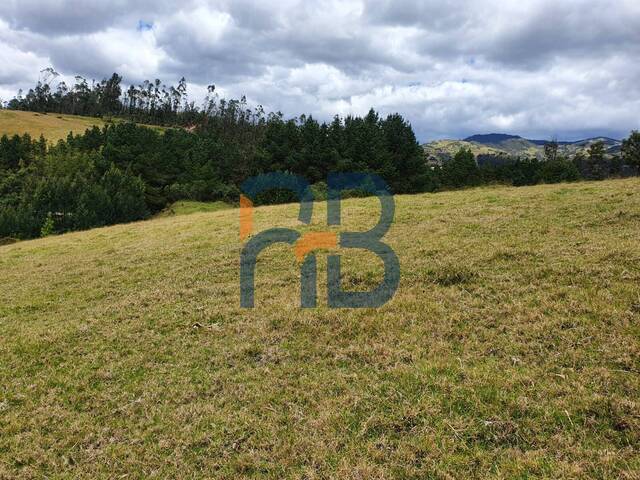 Terreno para Venta en Cuenca - 5