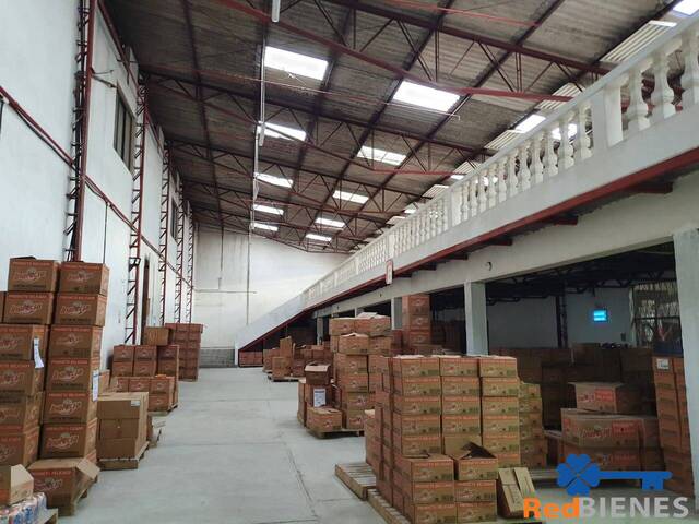 Nave Industrial para Alquiler en Cuenca - 3