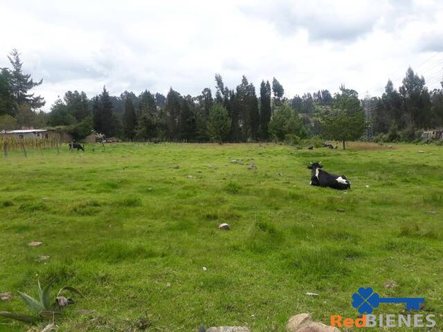 #MJ2767 - Terreno para Venta en Cuenca - A - 1