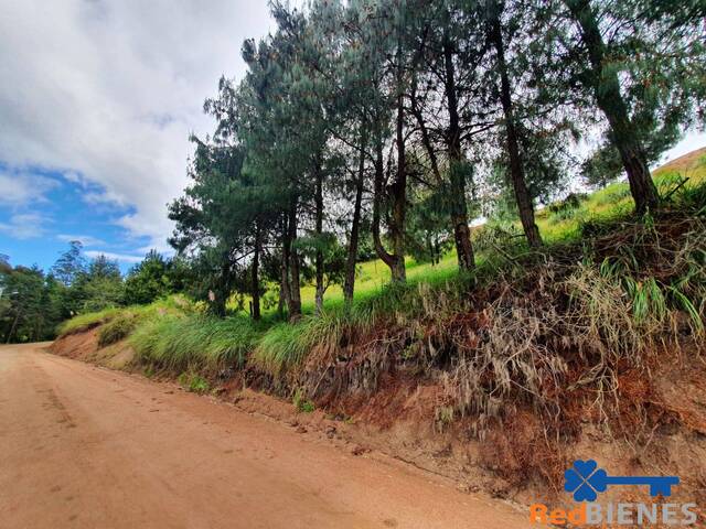 #MJ2769 - Terreno para Venta en Cuenca - A - 2