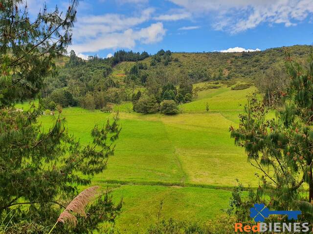 #MJ2769 - Terreno para Venta en Cuenca - A - 1