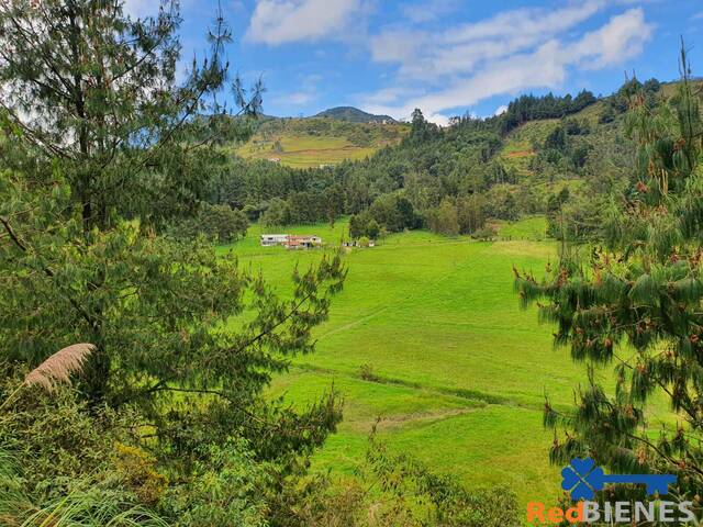 #MJ2769 - Terreno para Venta en Cuenca - A - 3