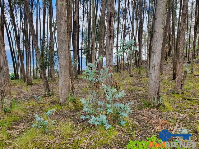 #MJ2770 - Terreno para Venta en Cuenca - A - 2