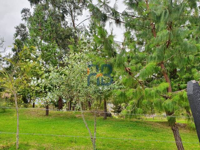 Terreno para Venta en Cuenca - 2