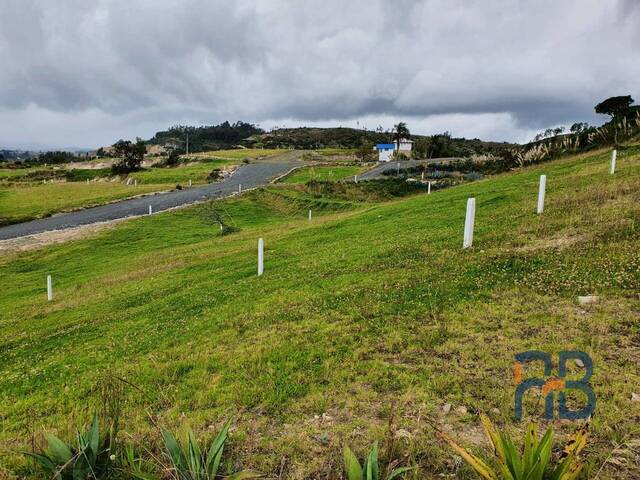 Terreno para Venta en Cuenca - 4