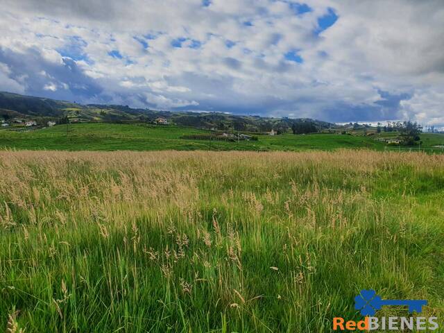 Terreno para Venta en Cuenca - 3