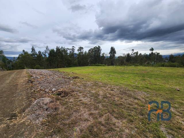 Terreno para Venta en Cuenca - 2