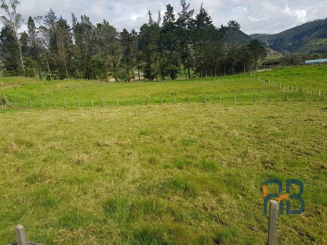 Terreno para Venta en Cuenca - 3