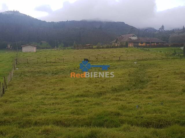 Terreno para Venta en Cuenca - 4