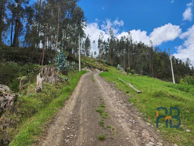 Terreno para Venta en Cuenca - 4