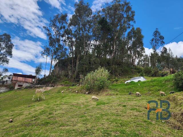 Terreno para Venta en Cuenca - 5