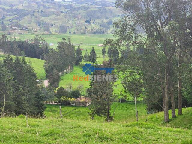 Venta en Portete - Cuenca