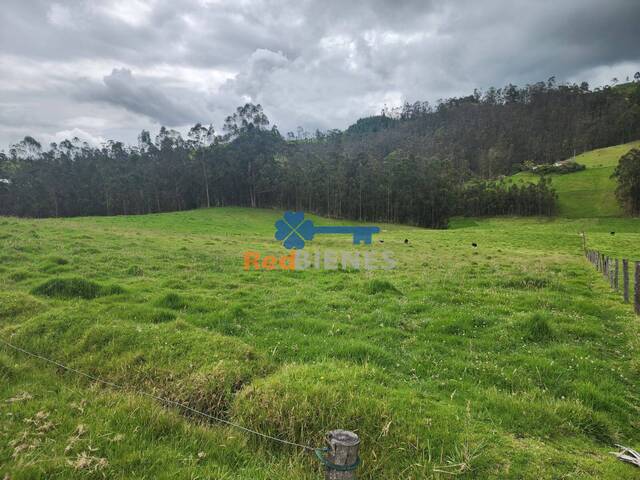 #MJ3022 - Terreno para Venta en Cuenca - A - 3