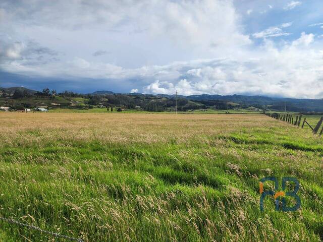 Terreno para Venta en Cuenca - 1