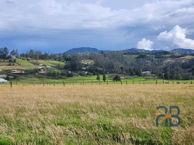 Terreno para Venta en Cuenca - 2