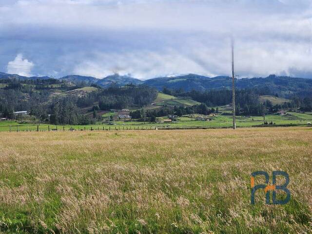 Terreno para Venta en Cuenca - 3