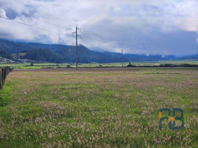 Terreno para Venta en Cuenca - 5