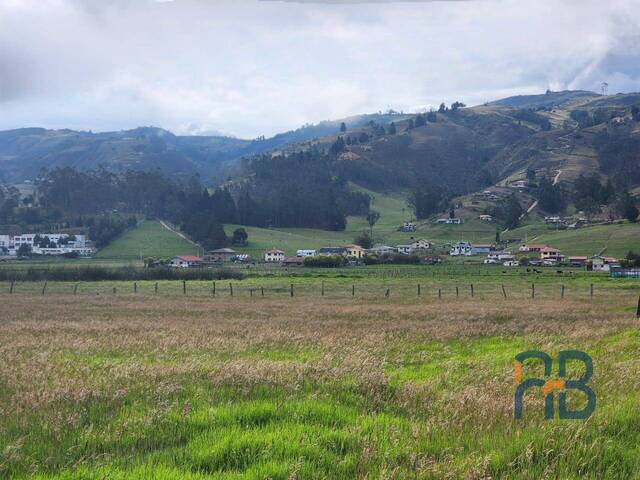 Terreno para Venta en Cuenca - 4