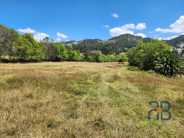 Terreno para Venta en Cuenca - 4