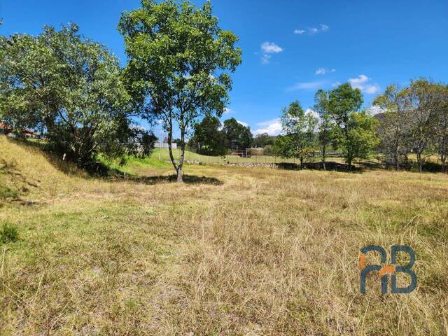 Terreno para Venta en Cuenca - 5