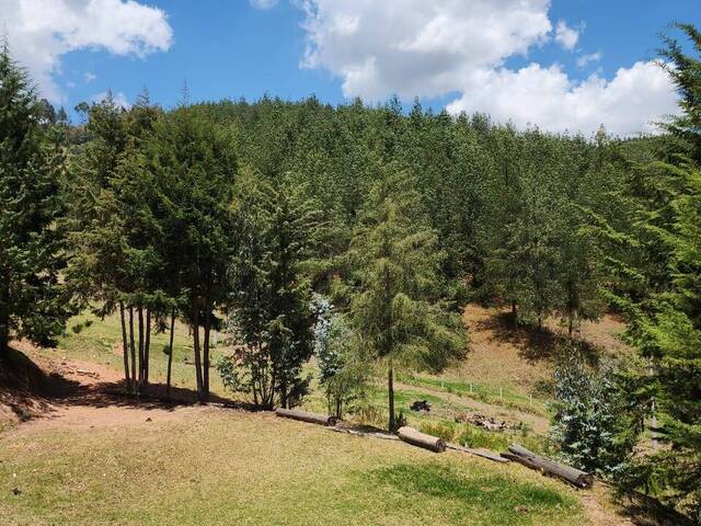 #MJ3171 - Terreno para Venta en Cuenca - A - 1