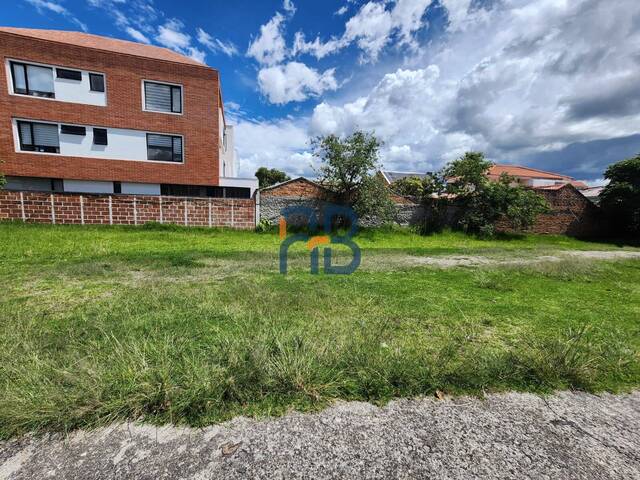 Terreno para Alquiler en Cuenca - 5