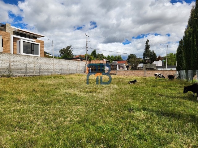 Venta en Supermaxi de Challuabamba - Cuenca