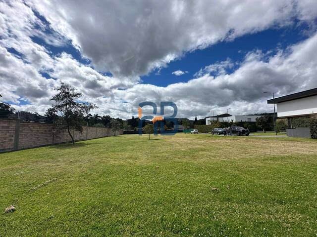 #AJ3261 - Bodega para Venta en Cuenca - A - 3