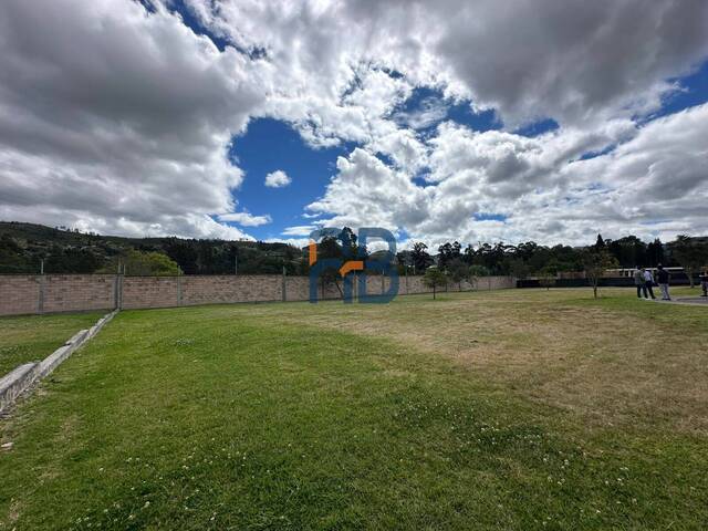 Bodega para Venta en Cuenca - 4