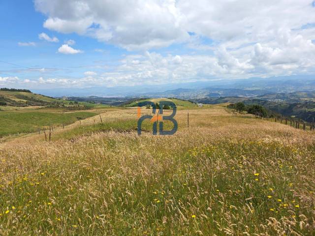 Bodega para Venta en Cuenca - 4