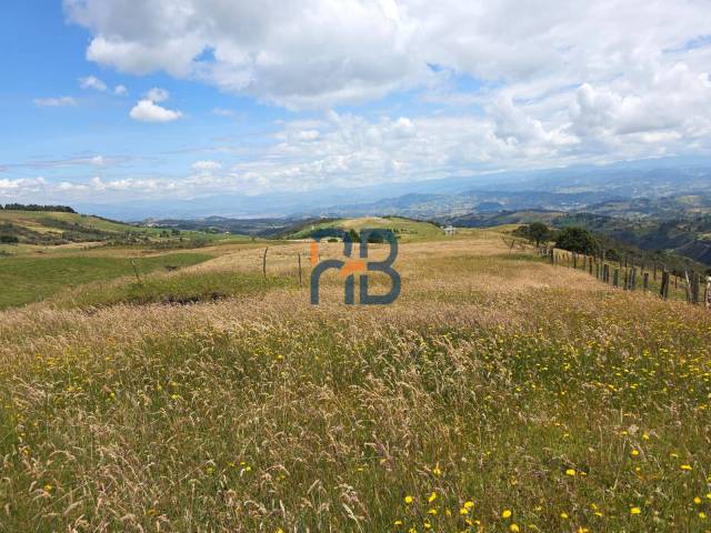 Bodega para Venta en Cuenca - 5