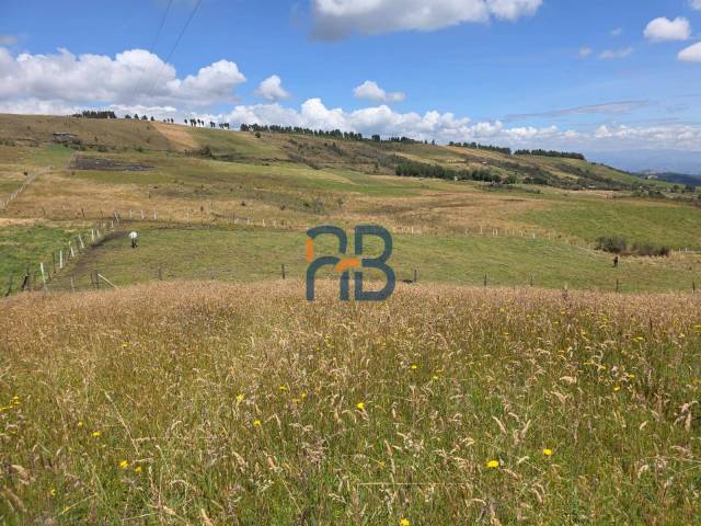 Venta en Yanasacha - Cuenca