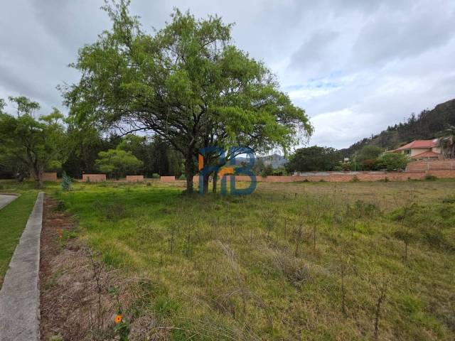 Terreno para Venta en Cuenca - 4